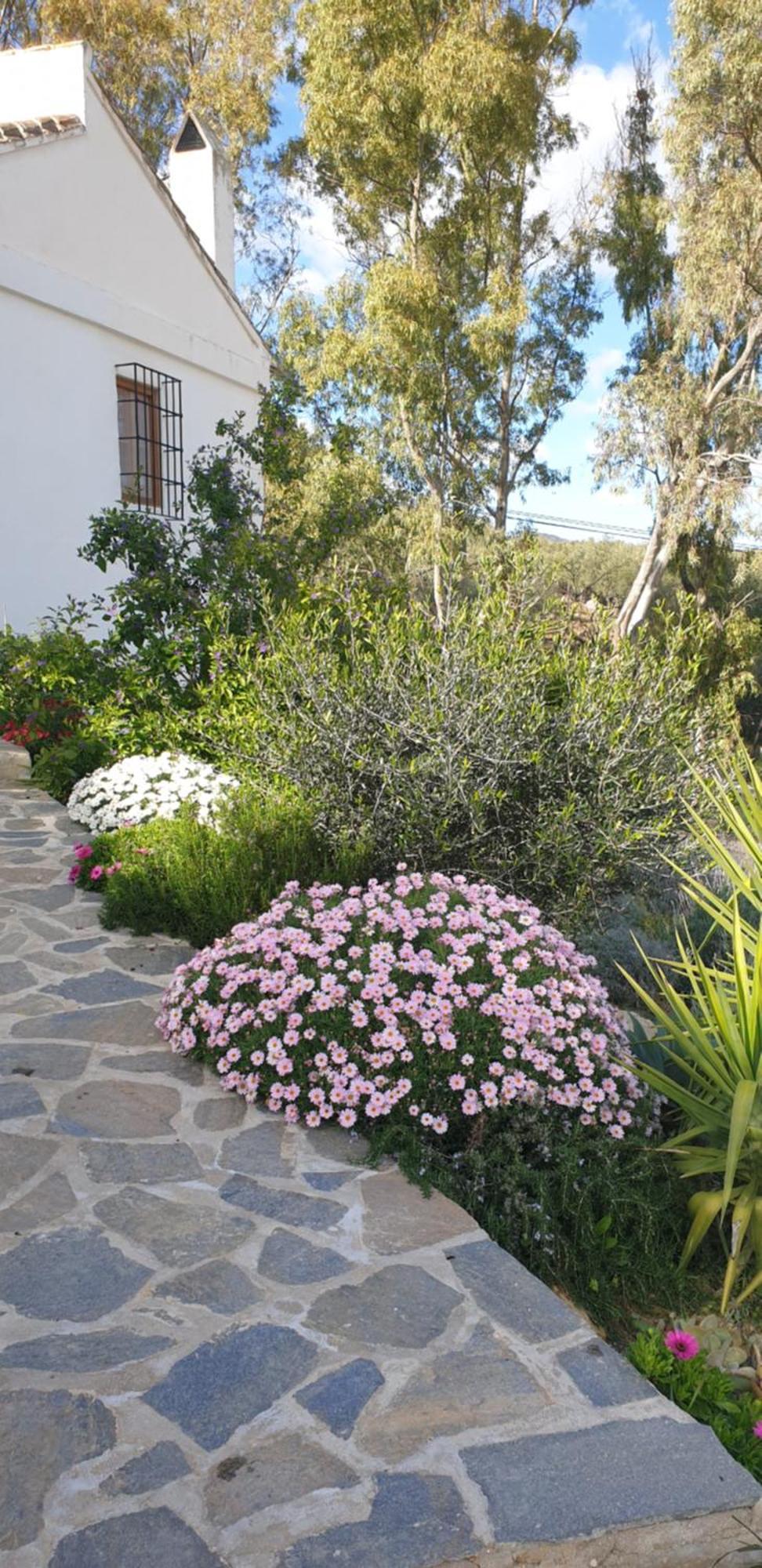 Finca Altozano - Private Pool - Unique Client Valle de Abdalajís Exterior foto